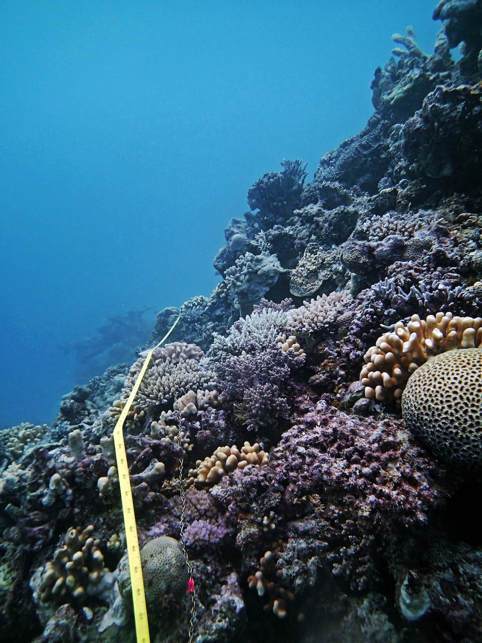 P9230367.png