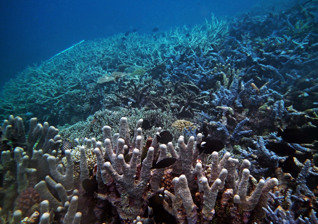 P9230386.png