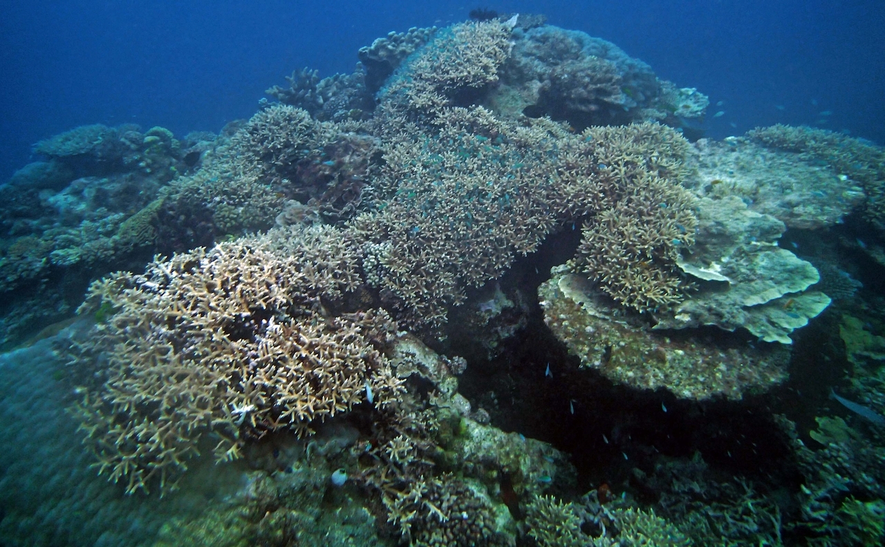 P9230390.png