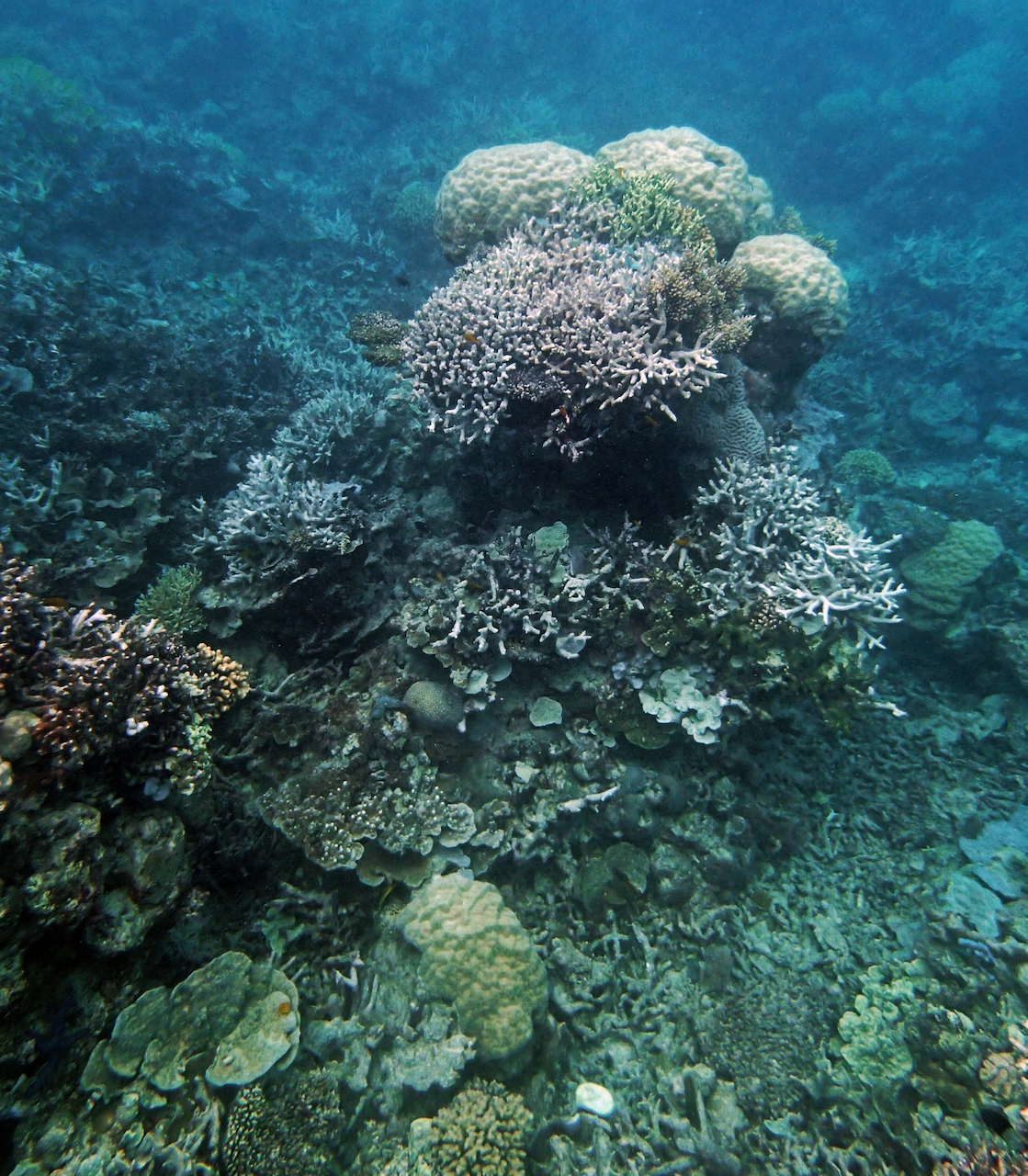 P9250300.png