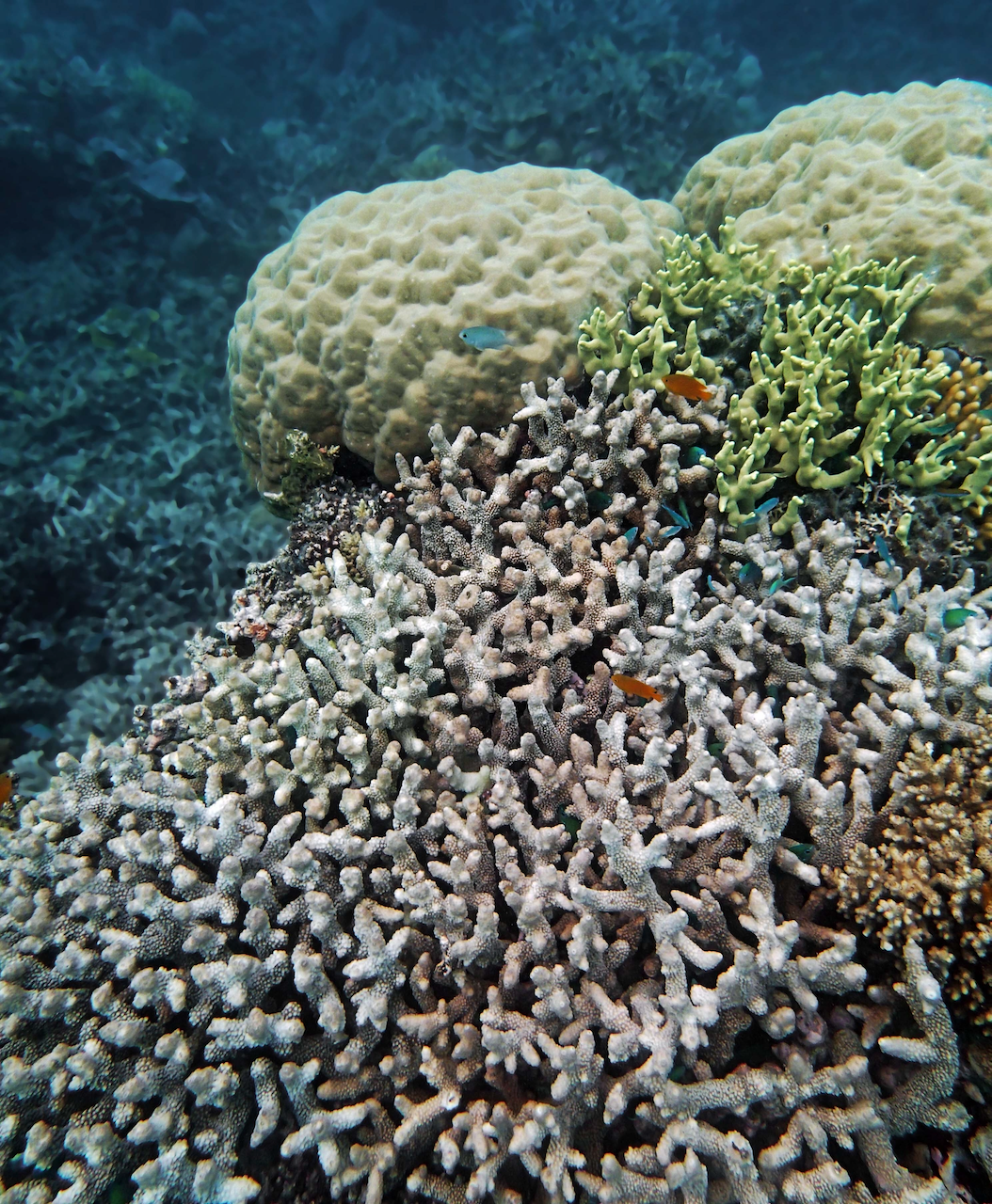 P9250301.png