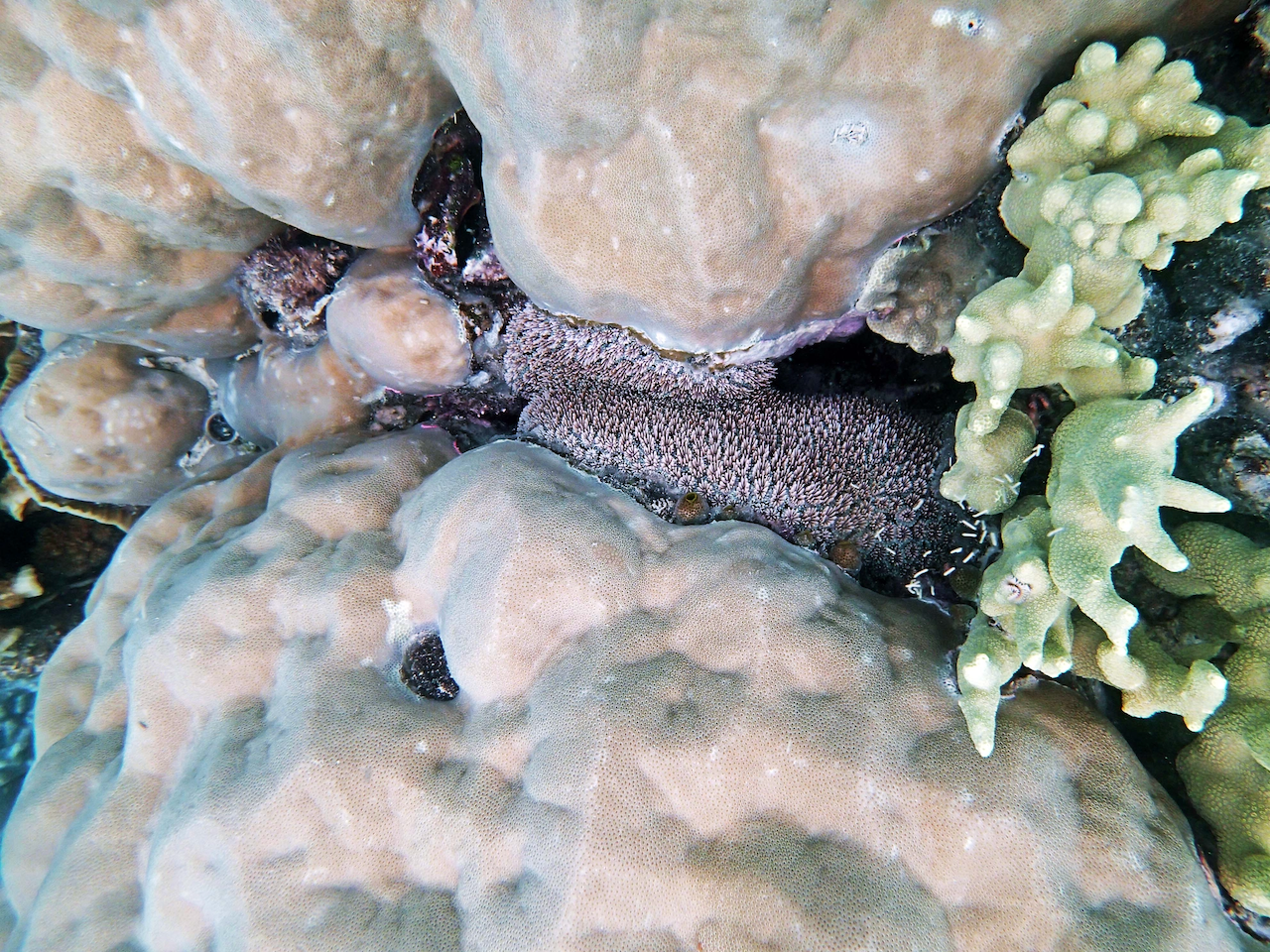 P9250302.png