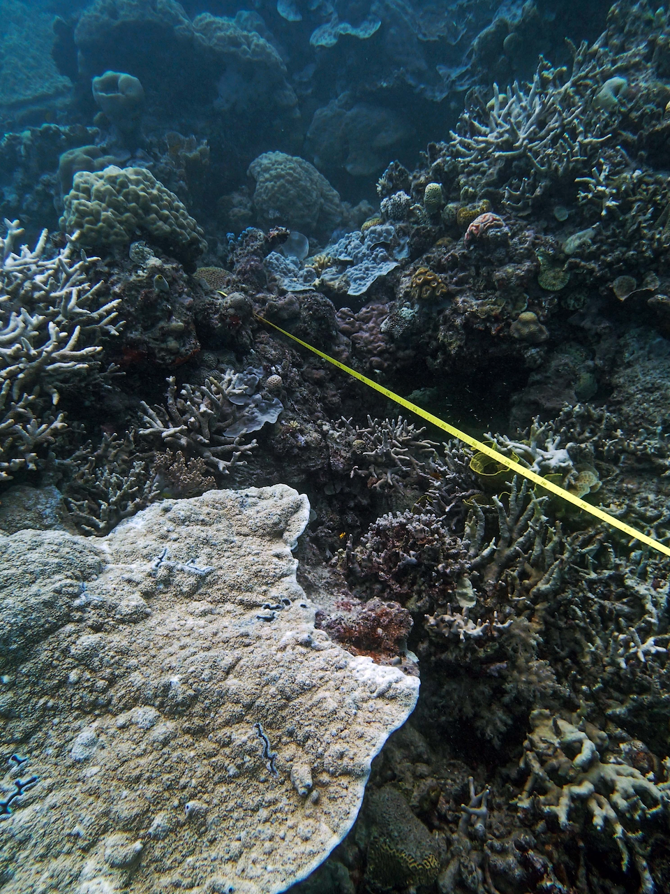 P9250287.png