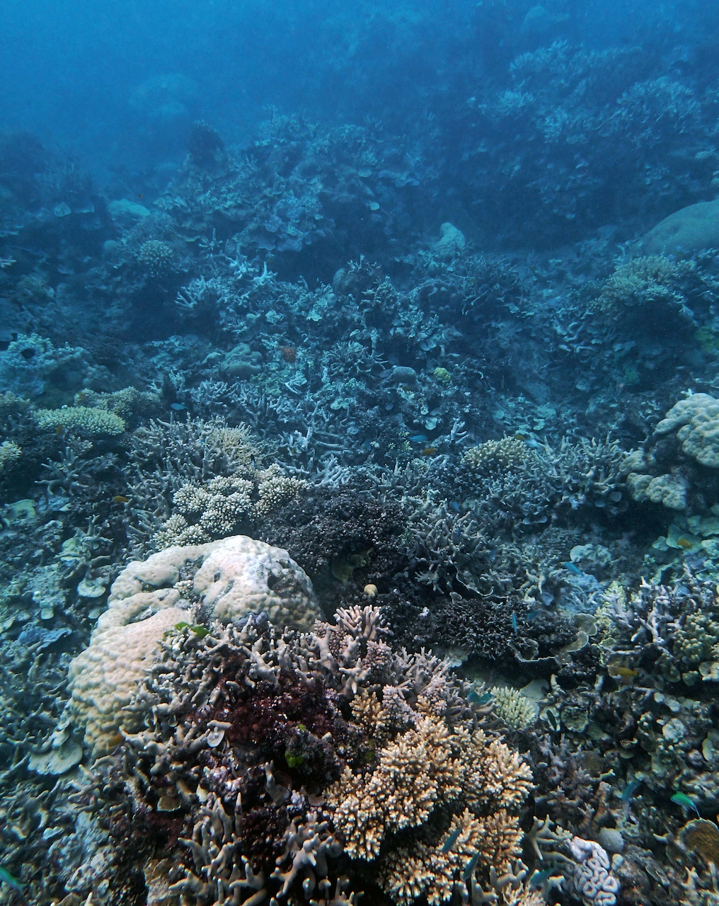 P9250295.png