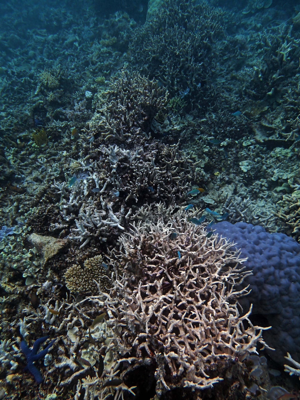 P9250294.png