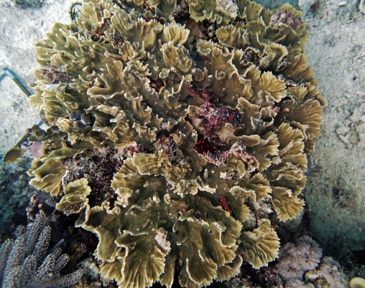 P9250272.png