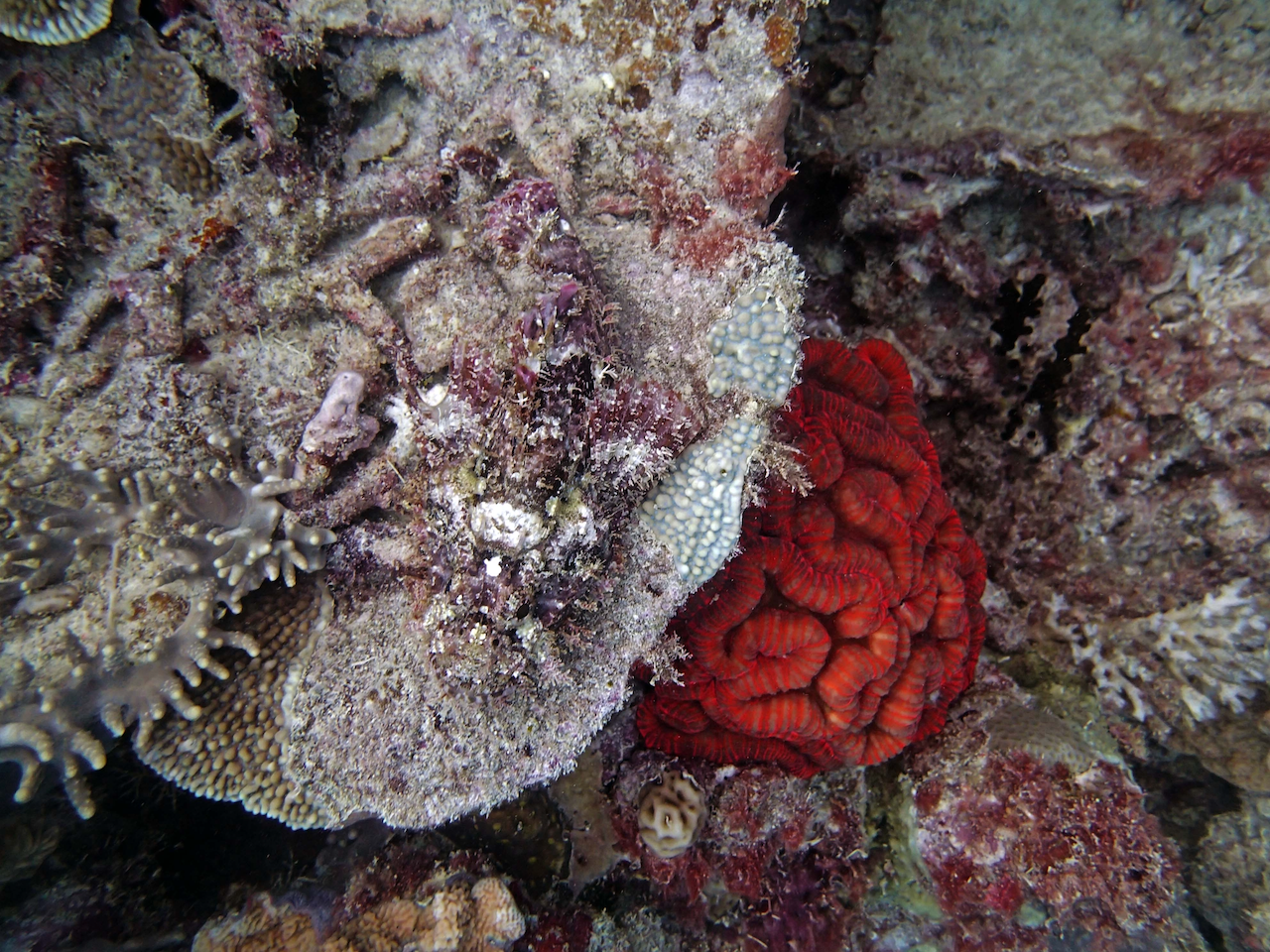 P9250270.png