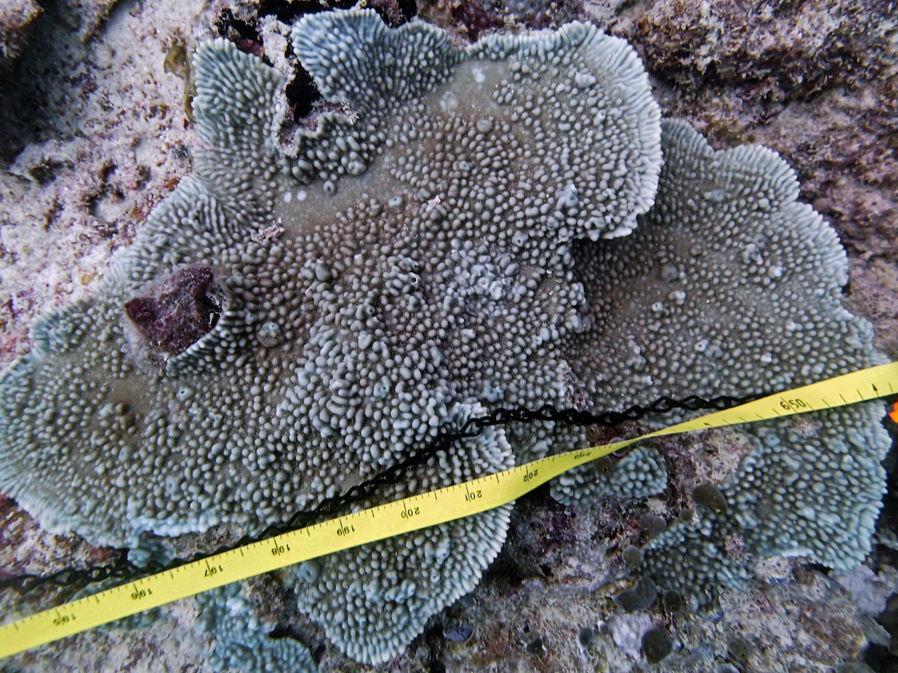 P9250256.png