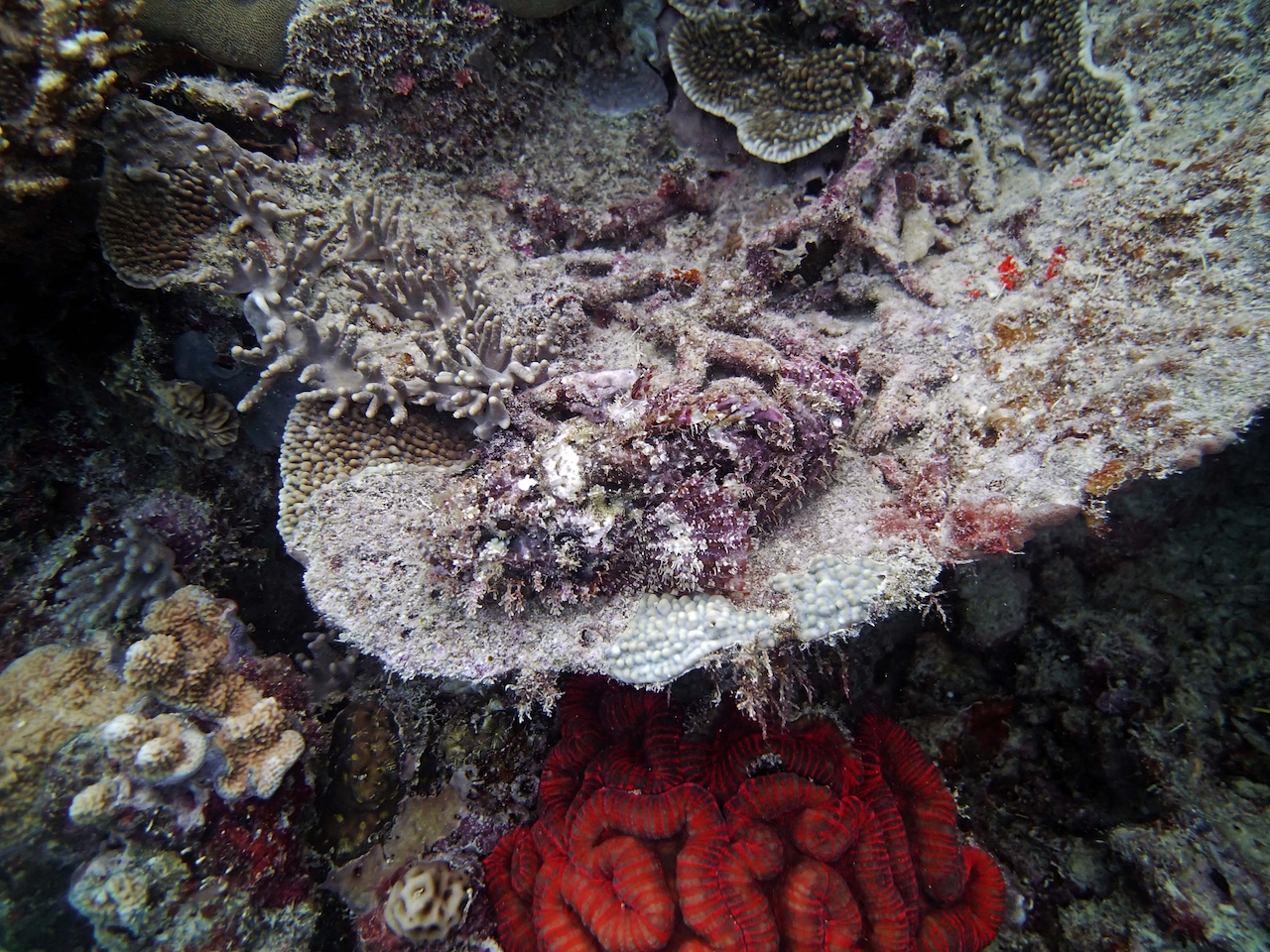 P9250269.png