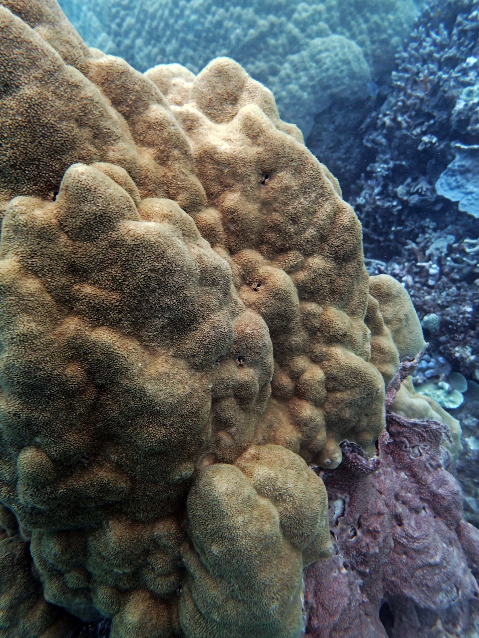 P9250293.png