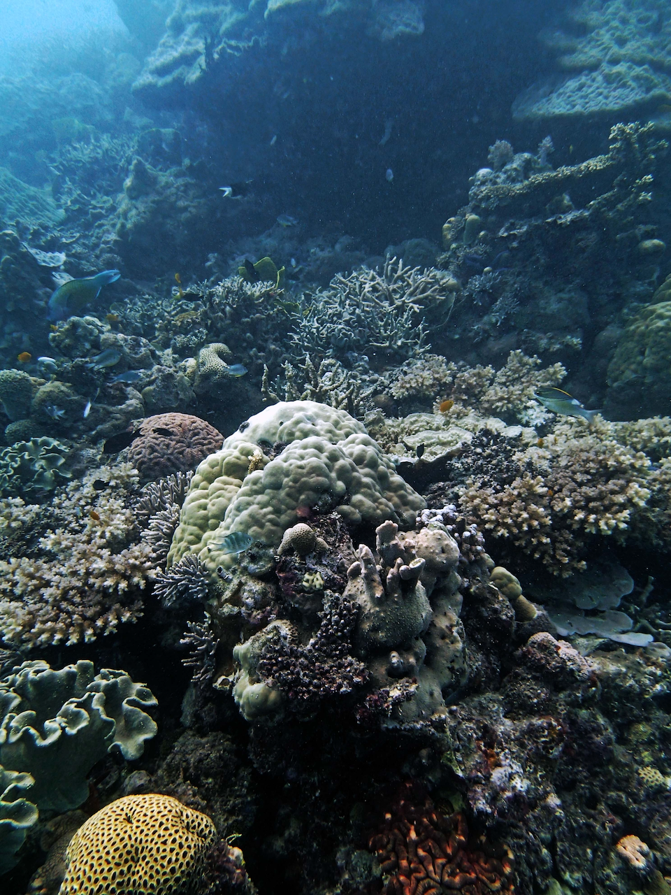 P9250280.png