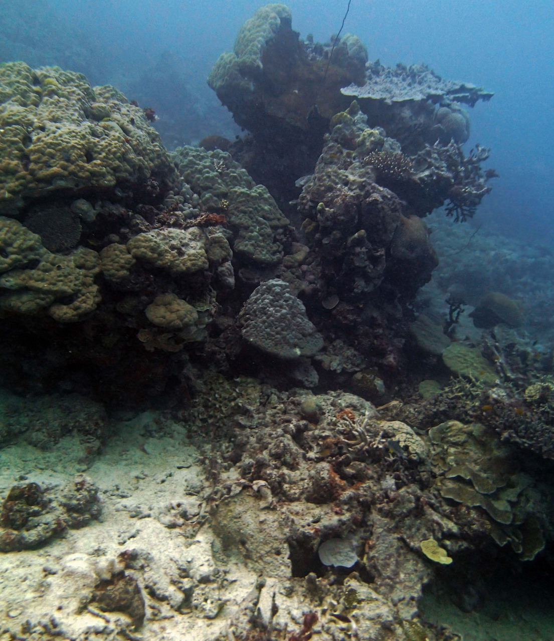 P9250278.png