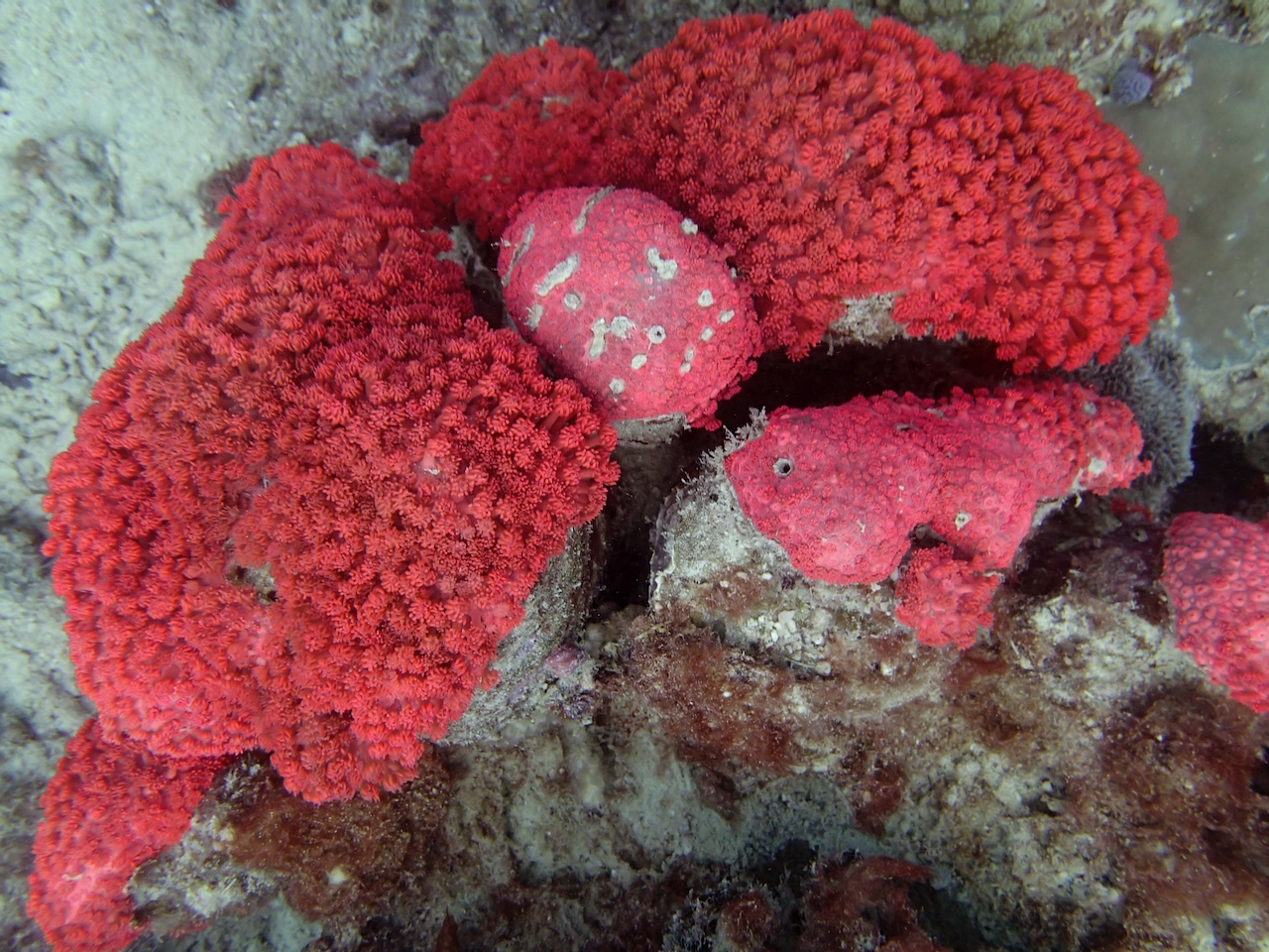 P9250271.png