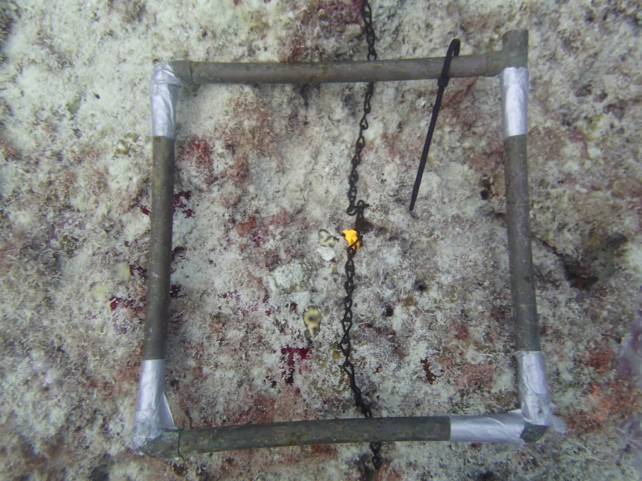 P9250261.png