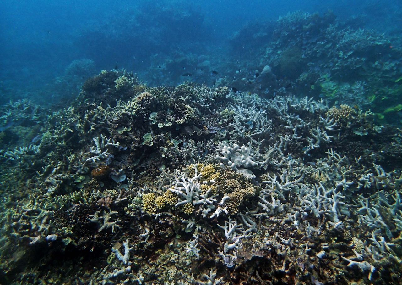 P9250296.png