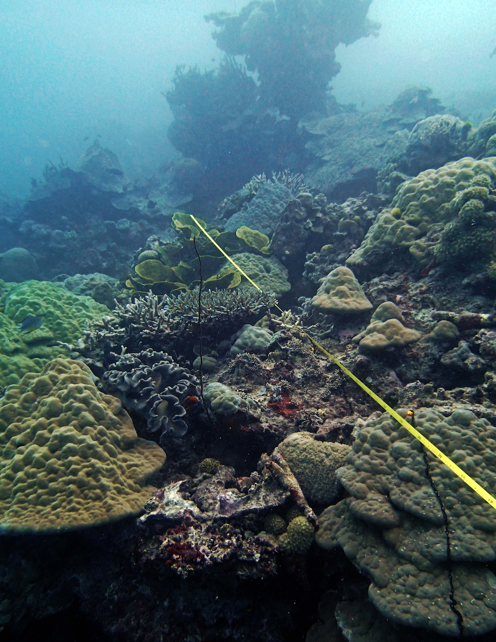 P9250262.png