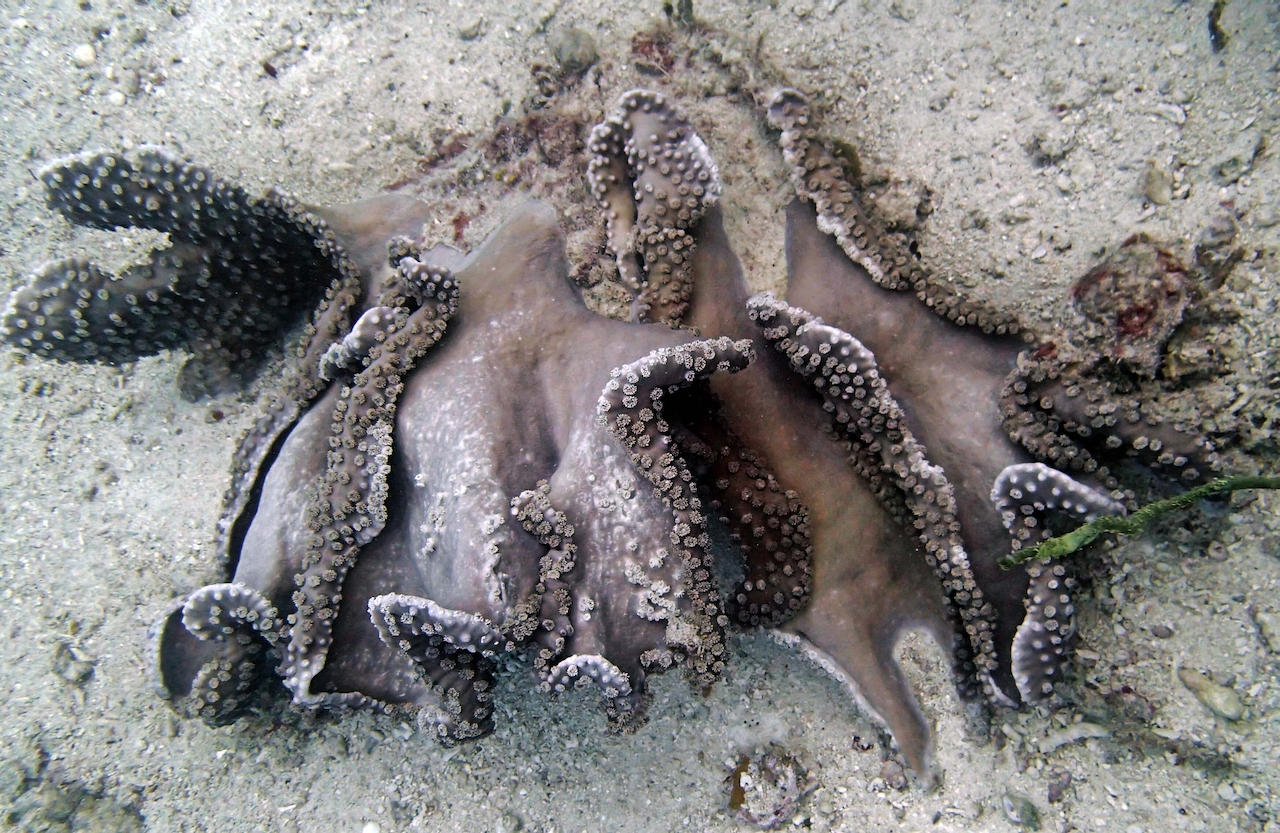 P9250248.png