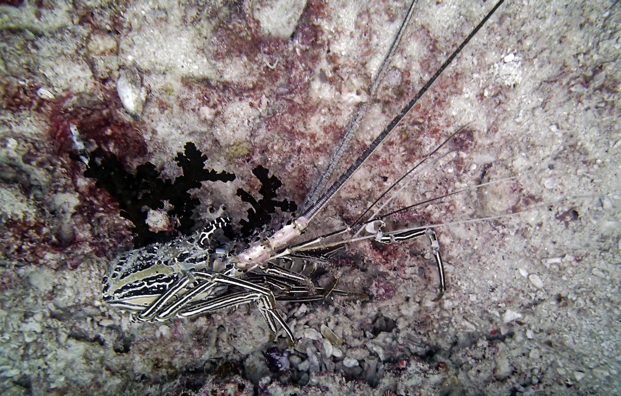 P9250249.png
