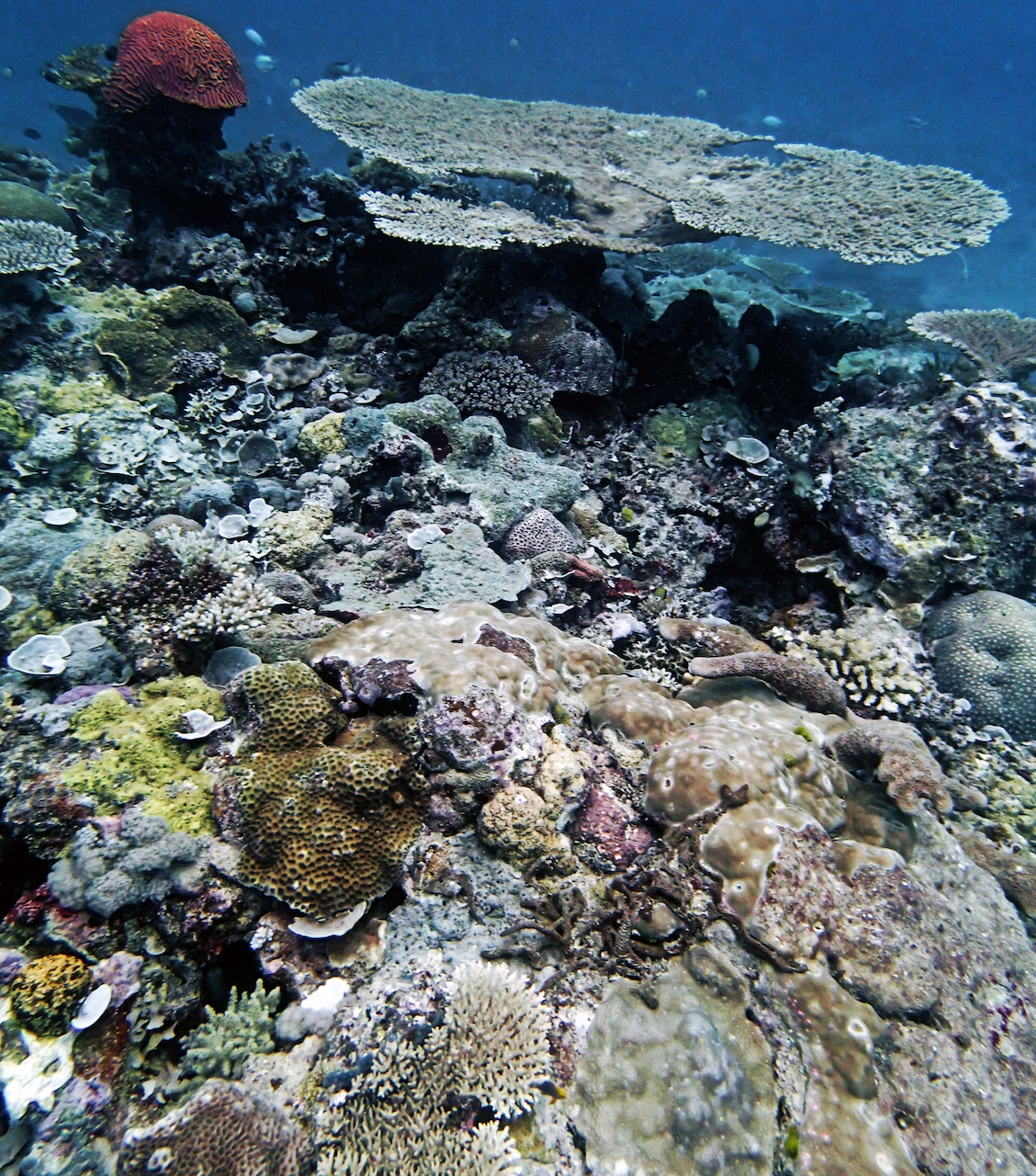 P9240398.png