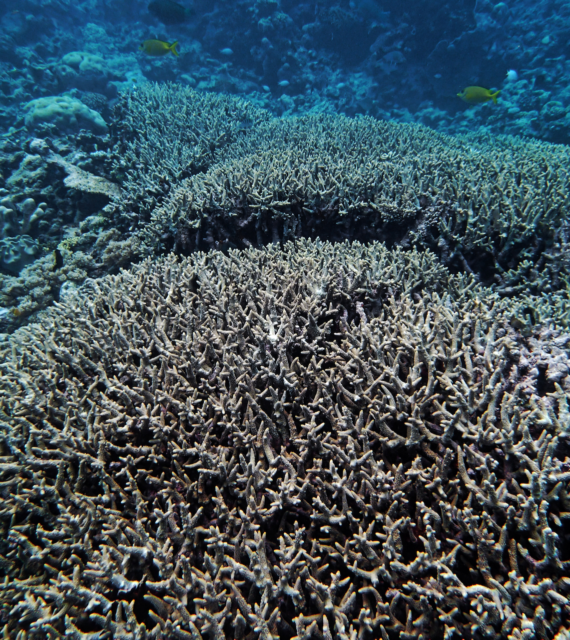 P9240426.png