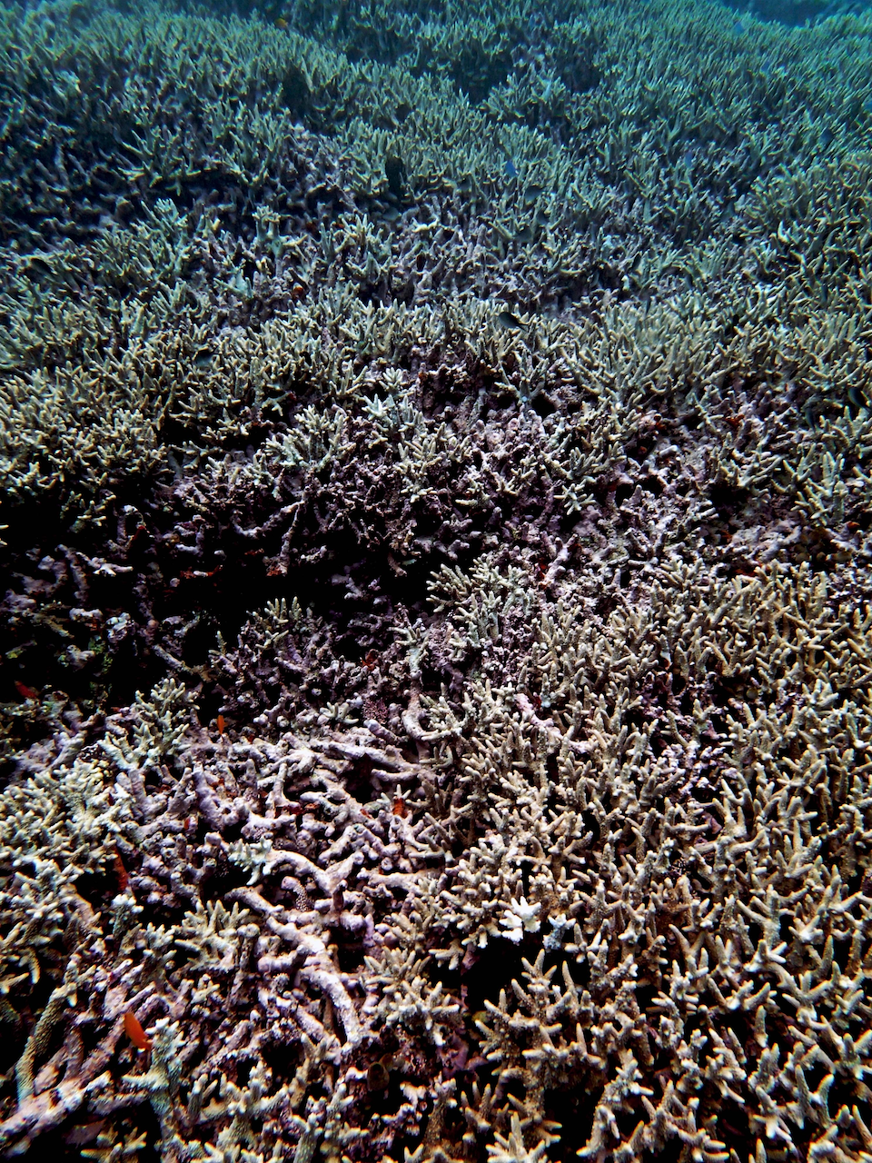 P9240428.png