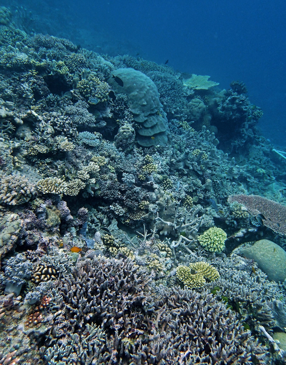 P9240423.png
