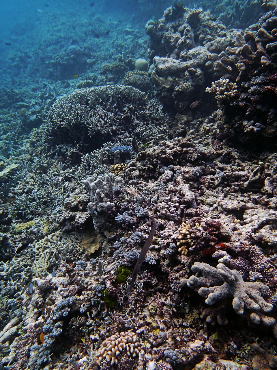 P9240422.png