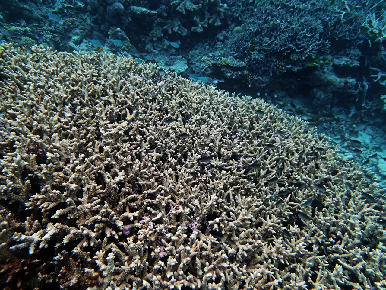 P9240432.png