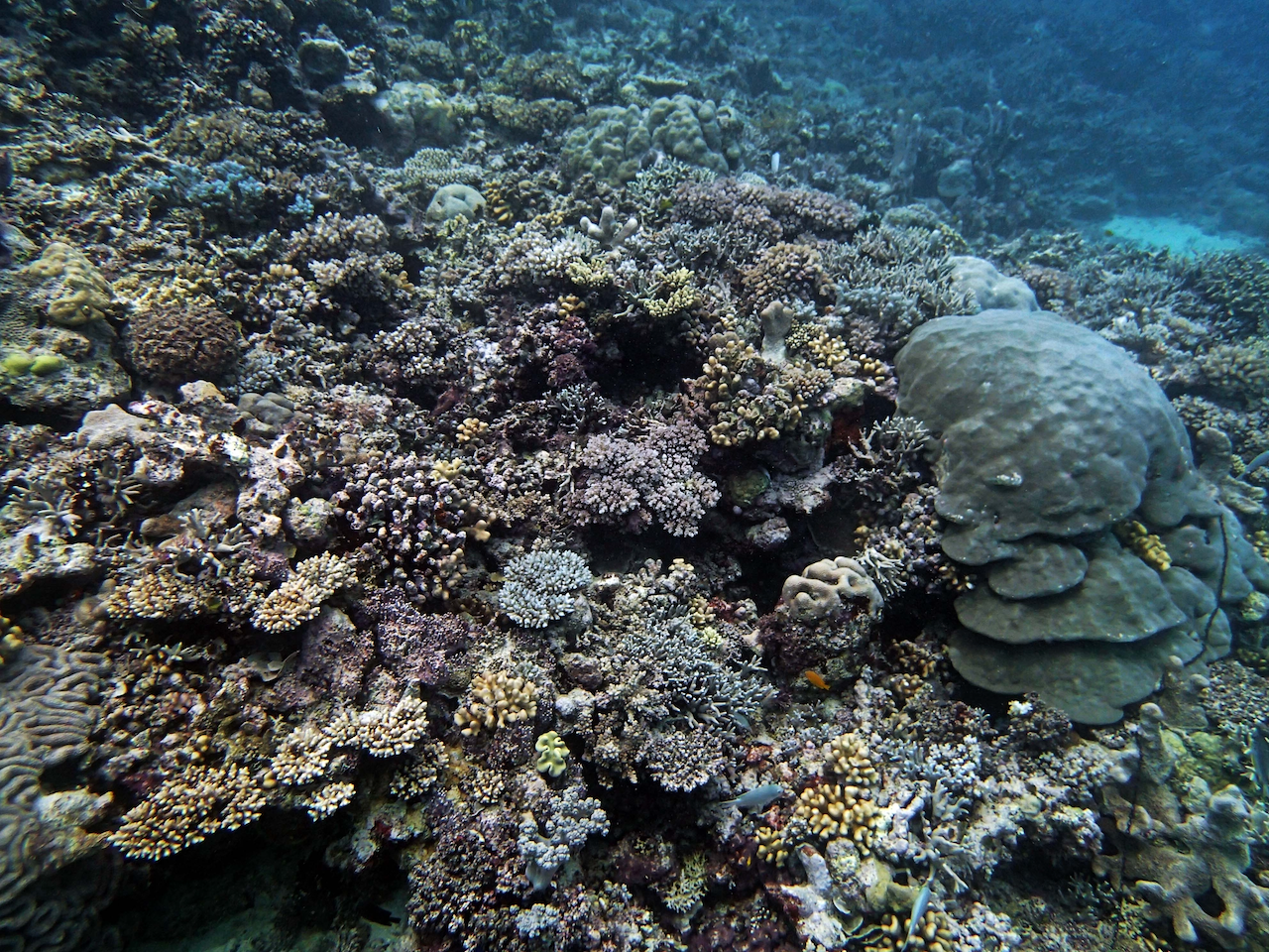 P9240415.png