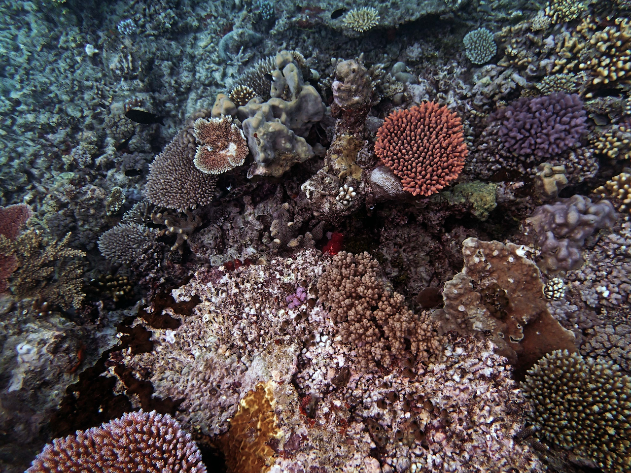 P9240431.png
