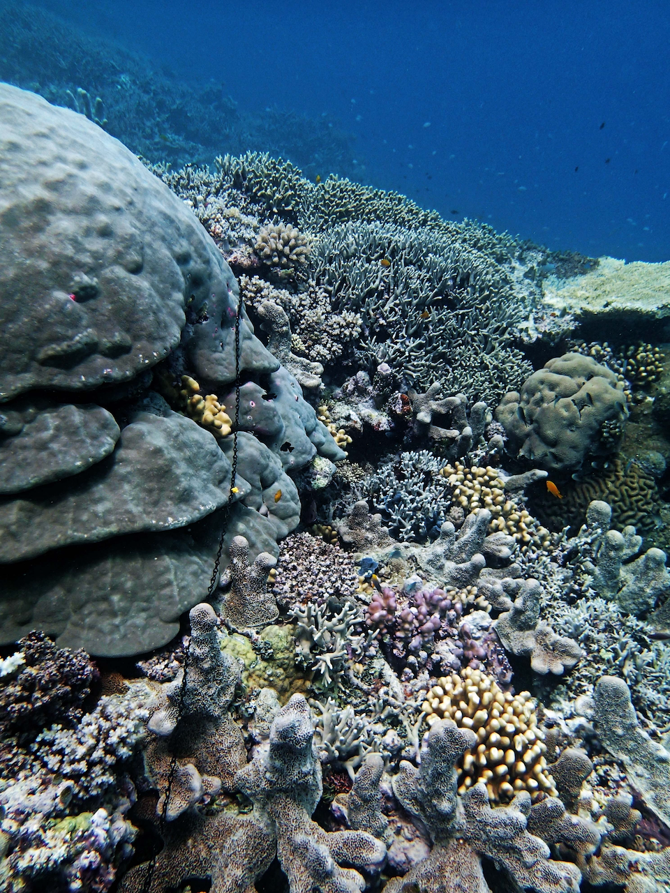P9240413.png
