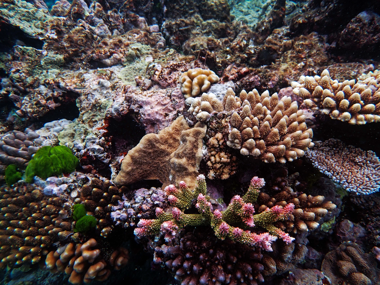 P9240436.png