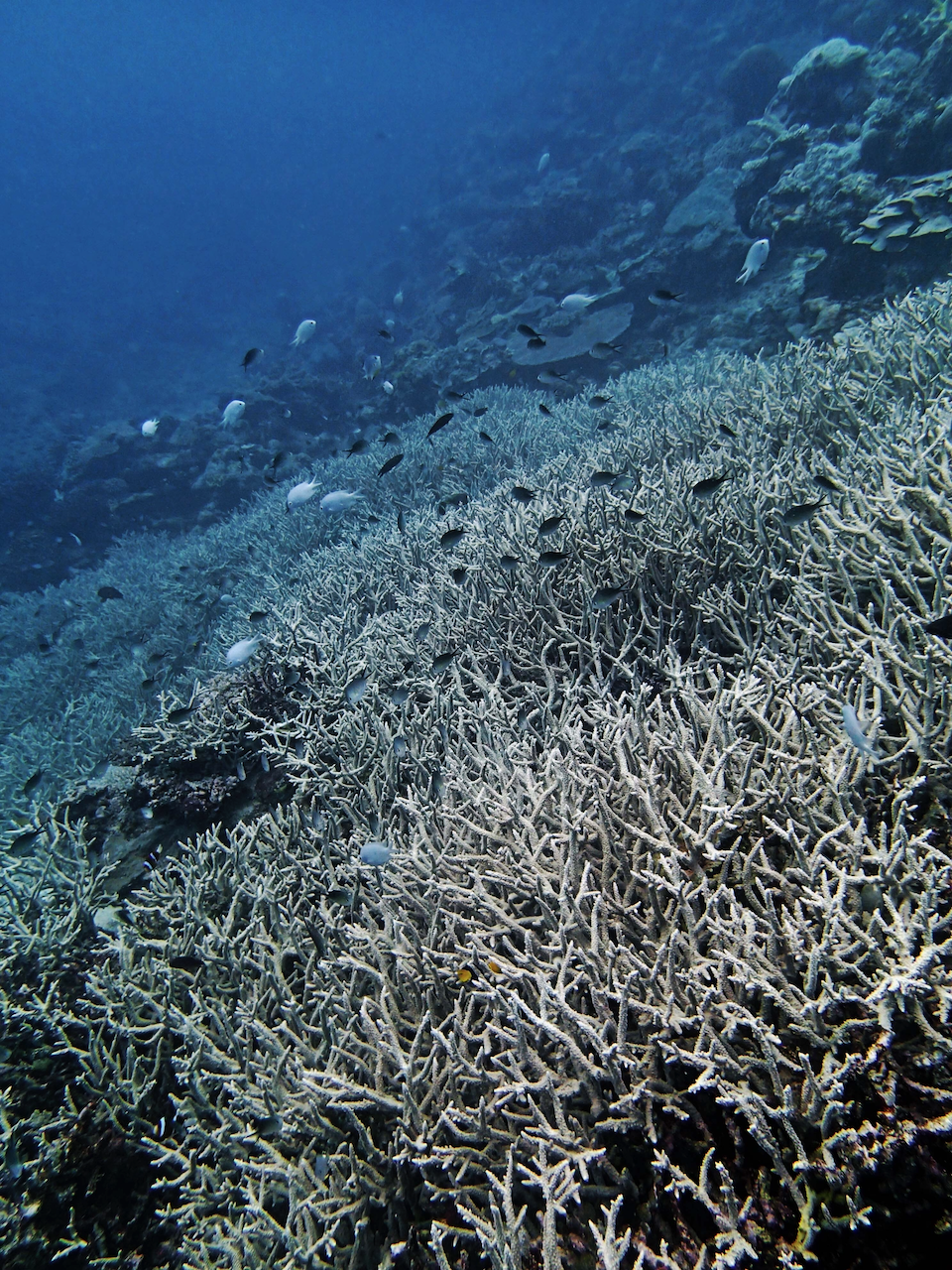 P9240412.png