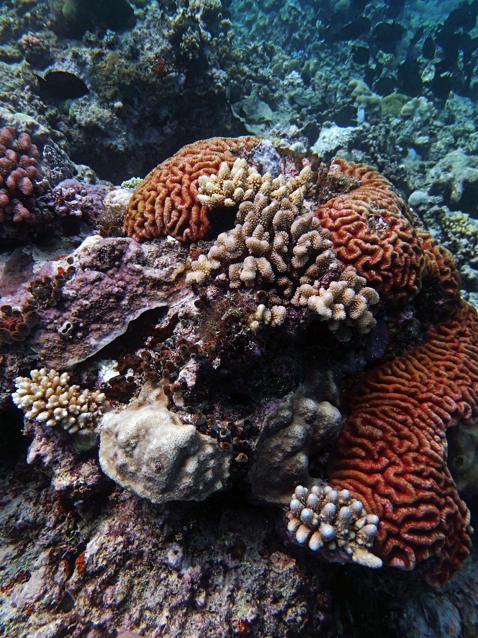 P9240424.png