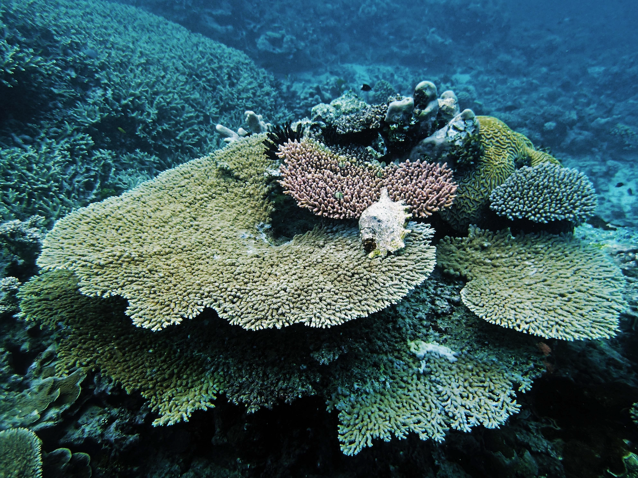 P9240429.png