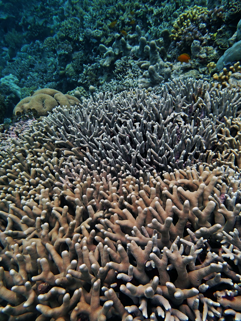 P9240414.png