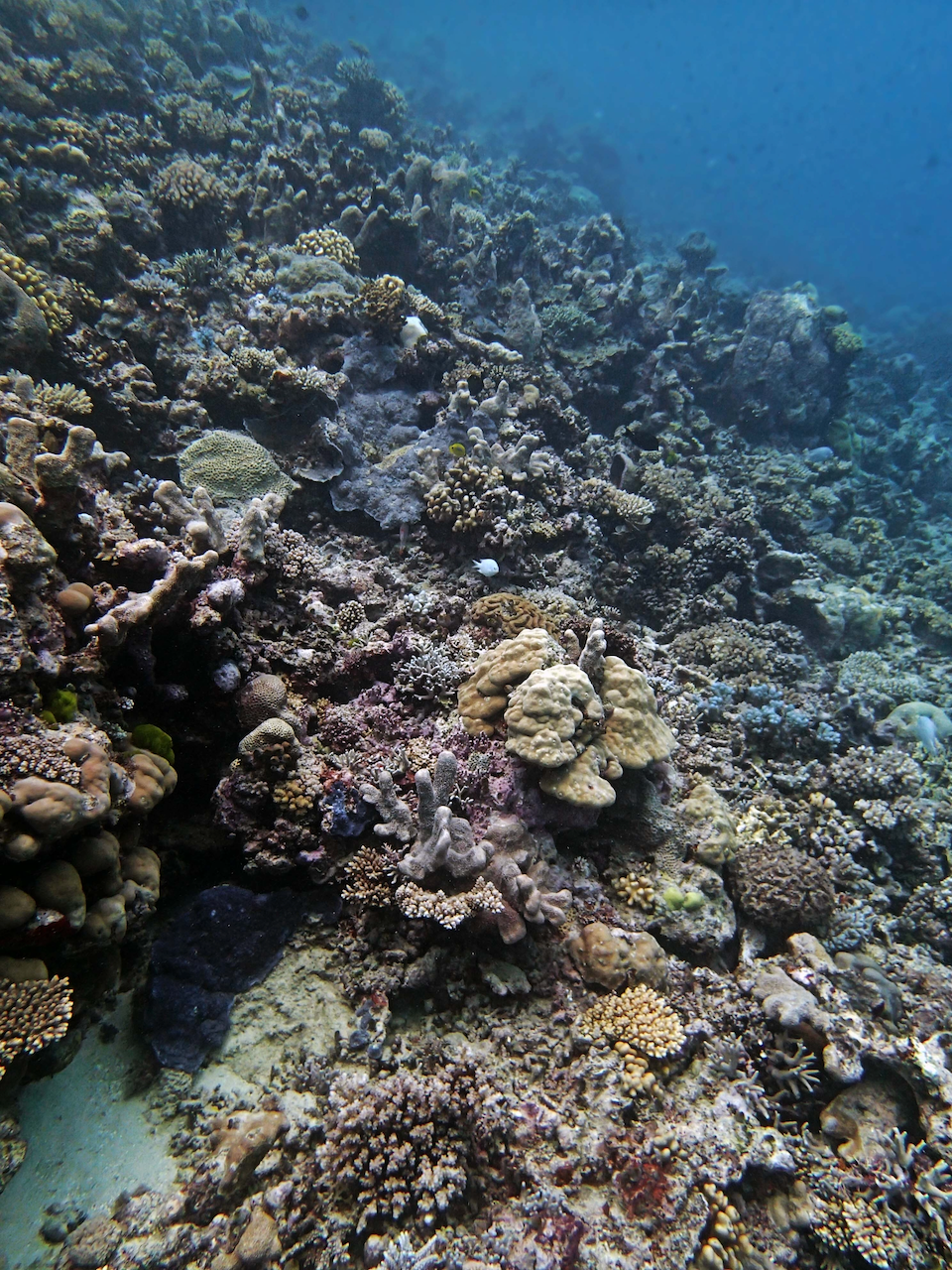 P9240421.png