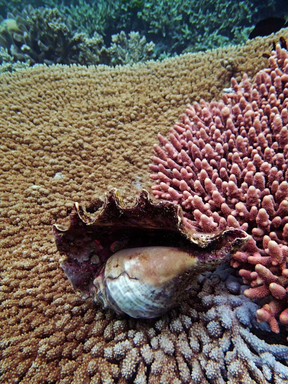 P9240430.png