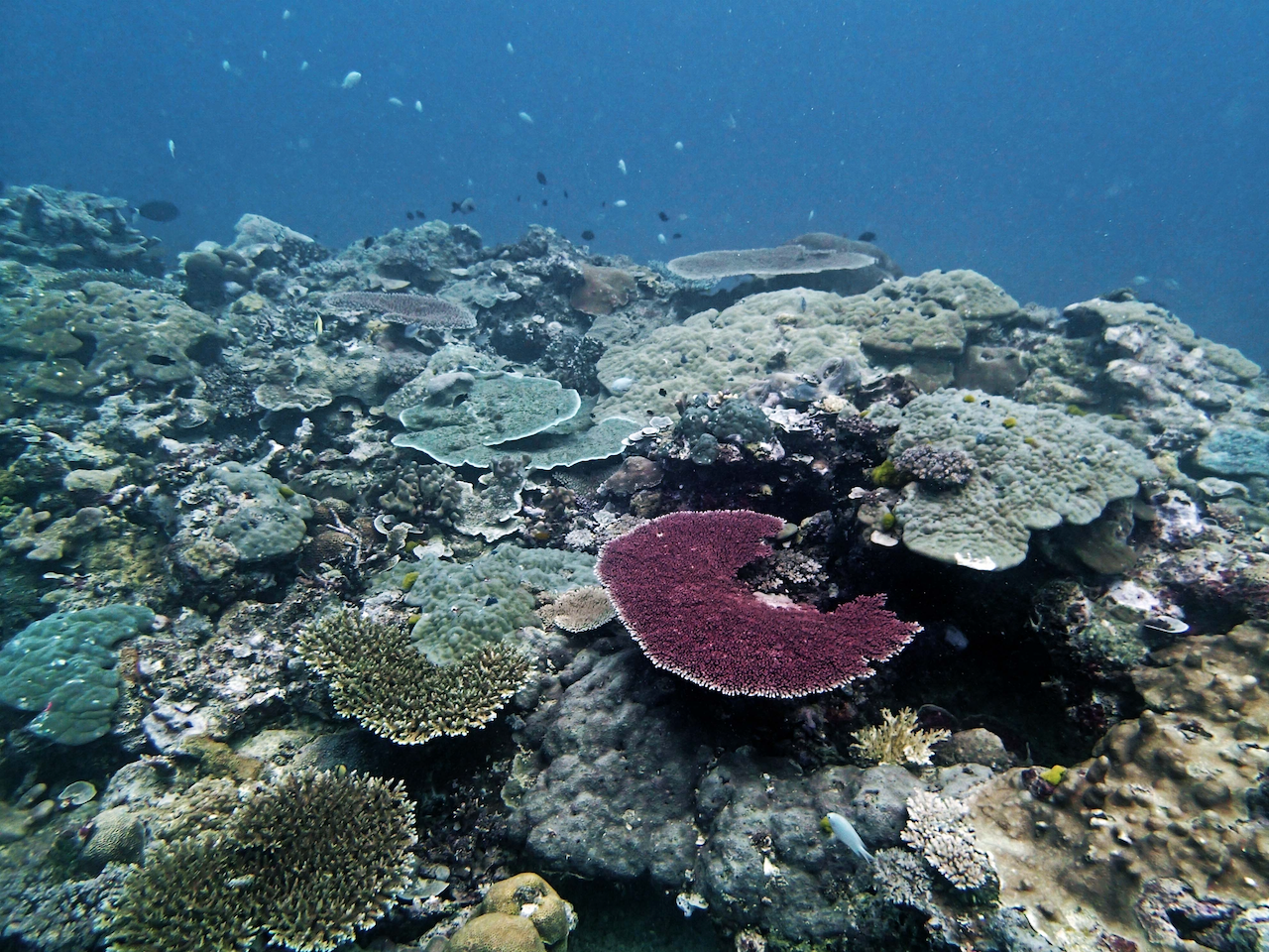 P9240392.png