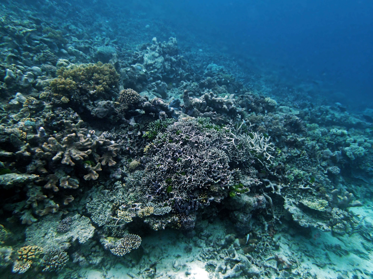 P9240433.png