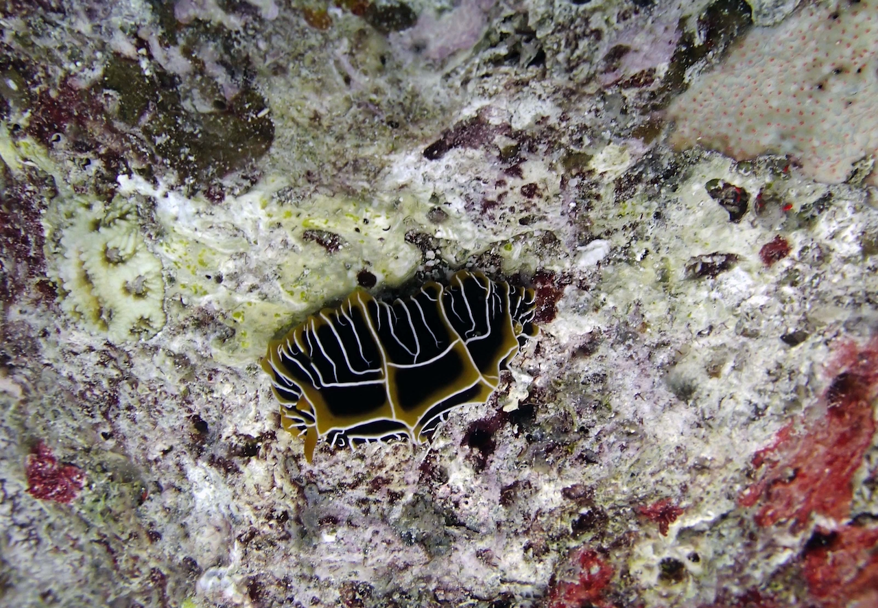 P9240403.png
