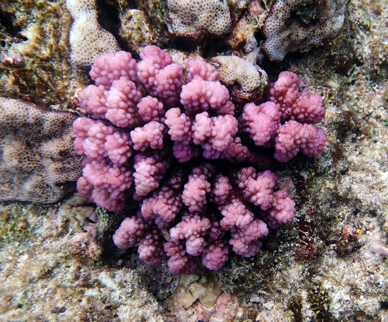 P9240479.png
