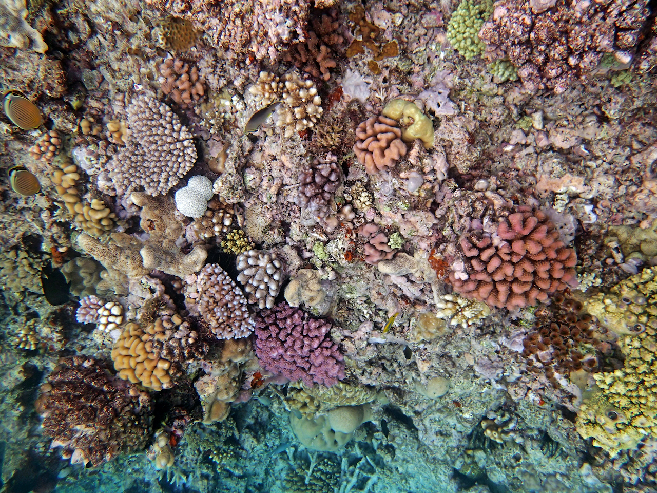 P9240474.png
