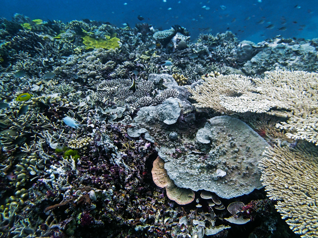 P9240453.png