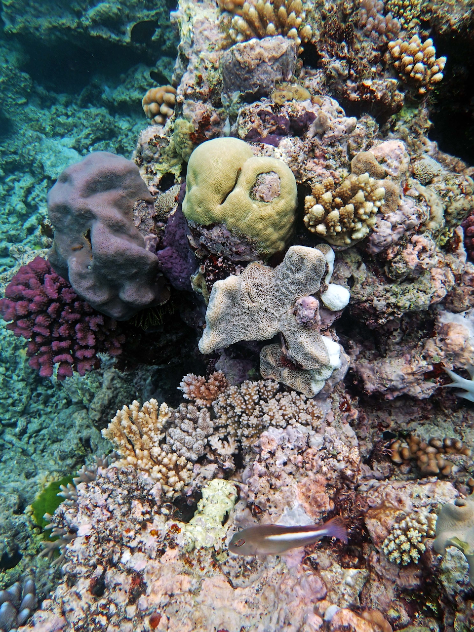 P9240471.png