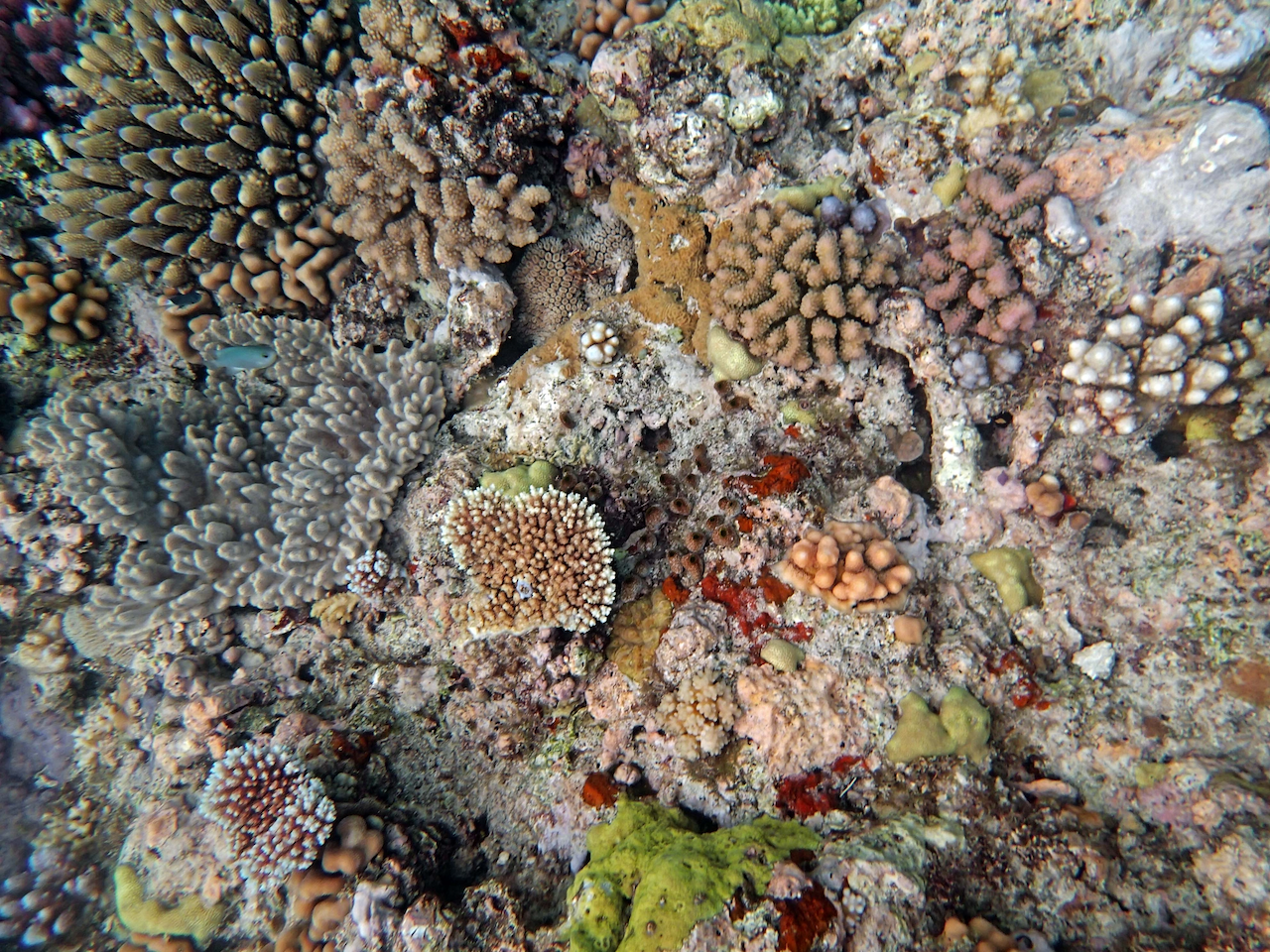 P9240482.png