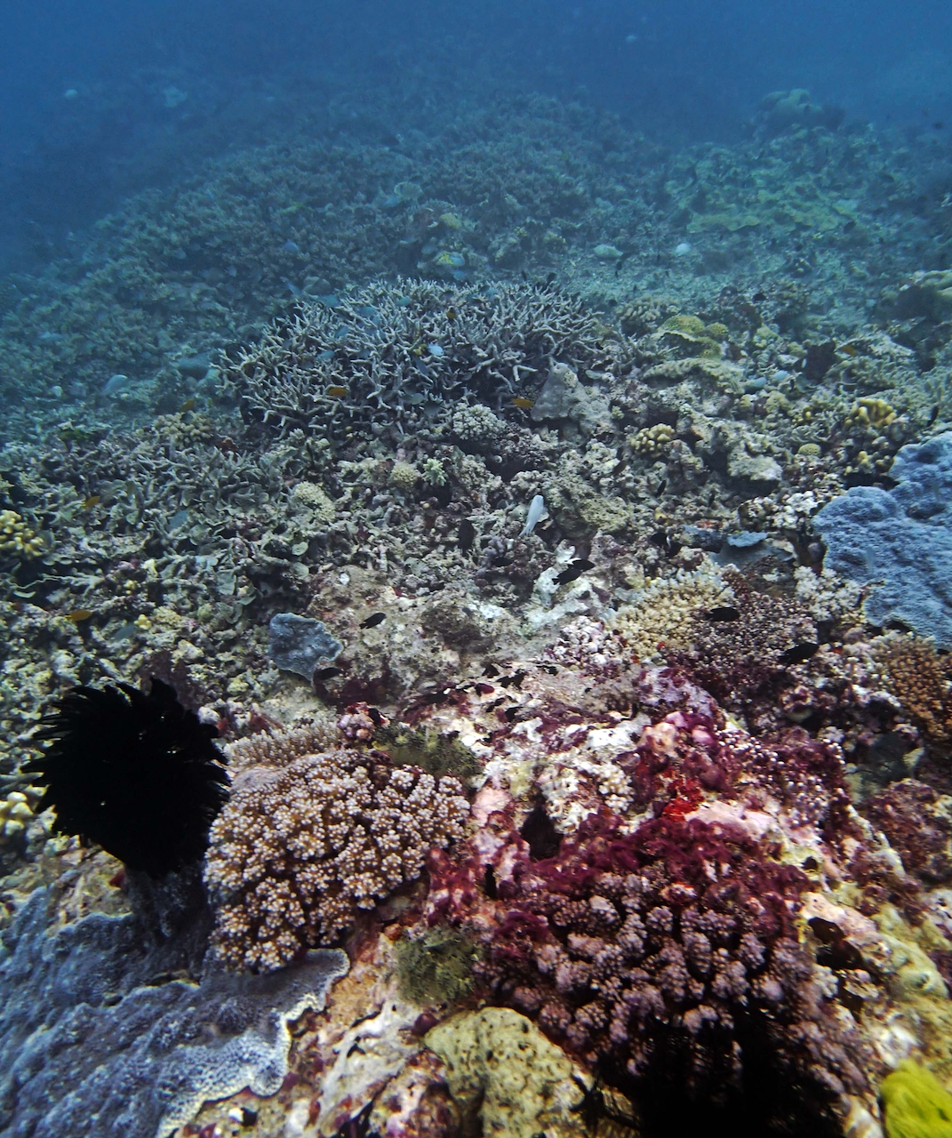 P9240455.png