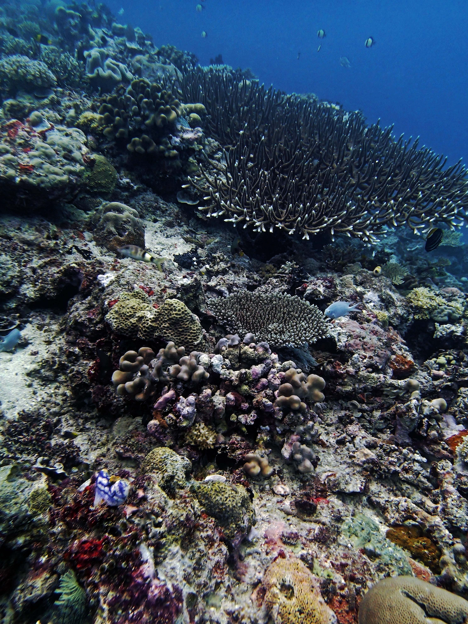 P9240454.png