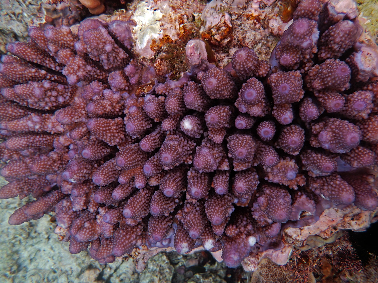 P9240476.png