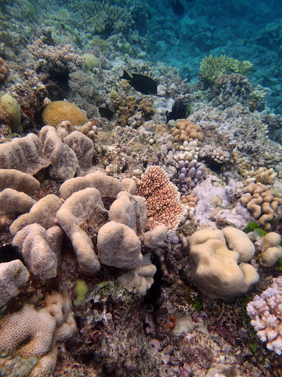 P9240480.png